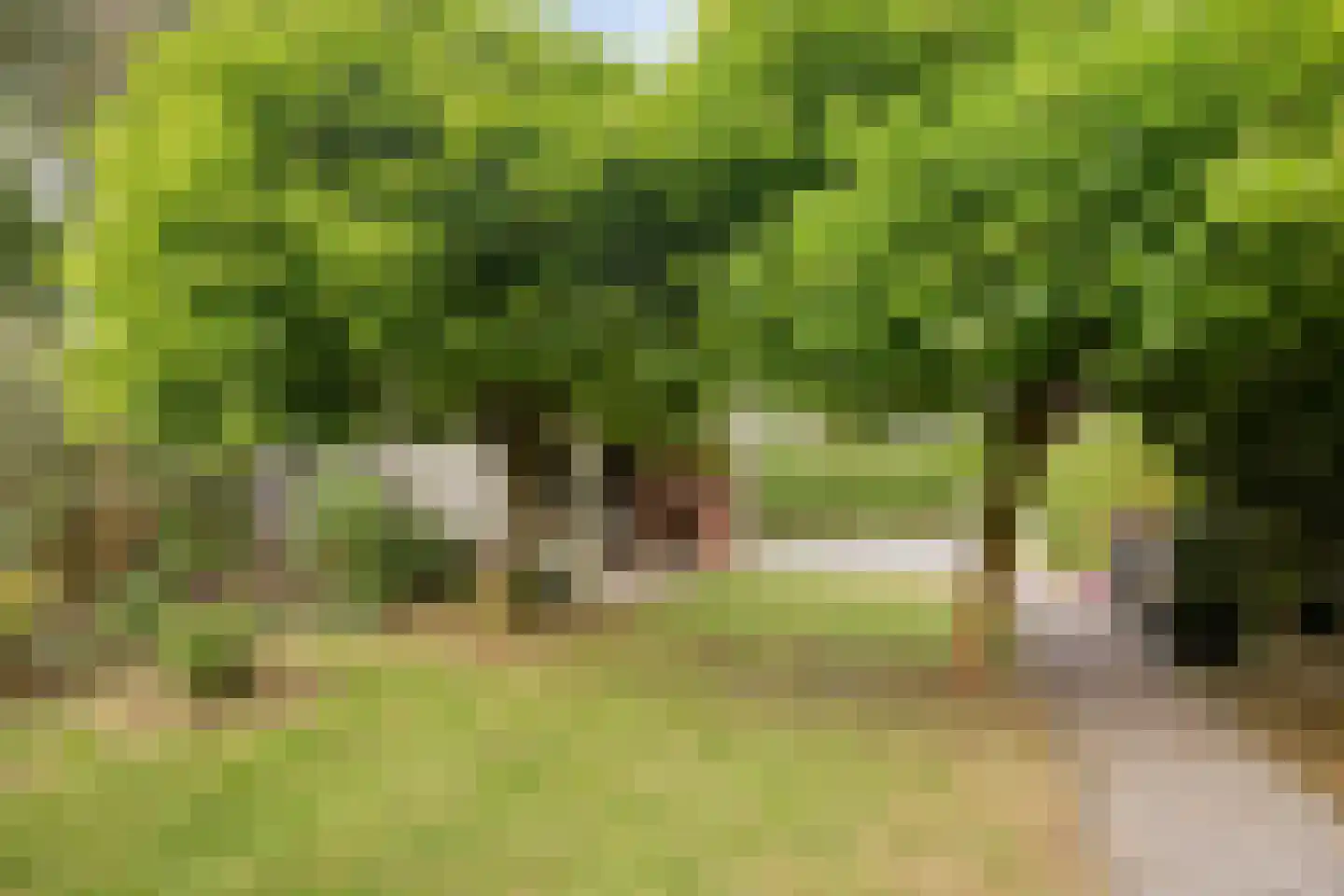 Oenerweg 23 Epe thumbnail 43