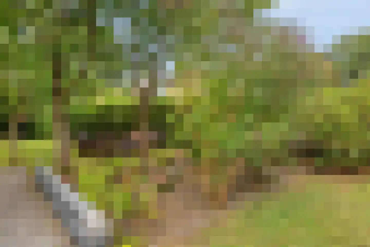 Oenerweg 23 Epe thumbnail 46