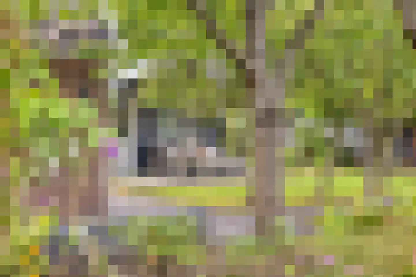 Oenerweg 23 Epe thumbnail 47