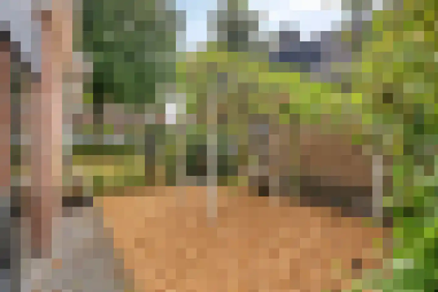 Oenerweg 23 Epe thumbnail 48
