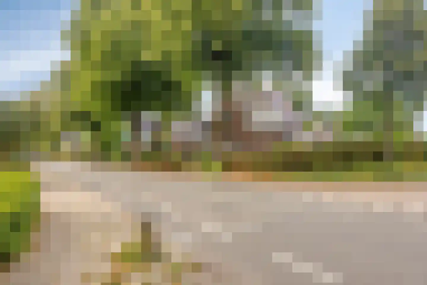 Oenerweg 23 Epe thumbnail 50