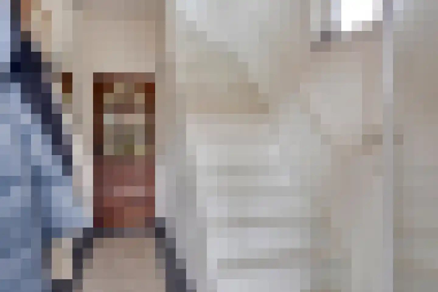 Oenerweg 23 Epe thumbnail 8