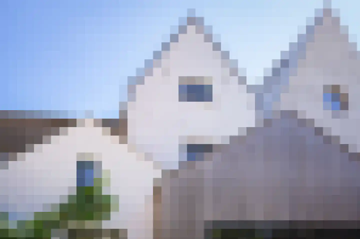 Oenselsestraat 21 Zaltbommel thumbnail 49