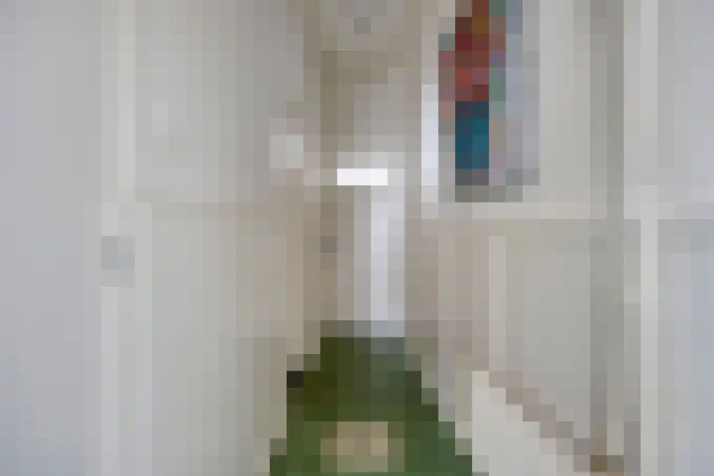 Oenselsestraat 28 Zaltbommel thumbnail 15