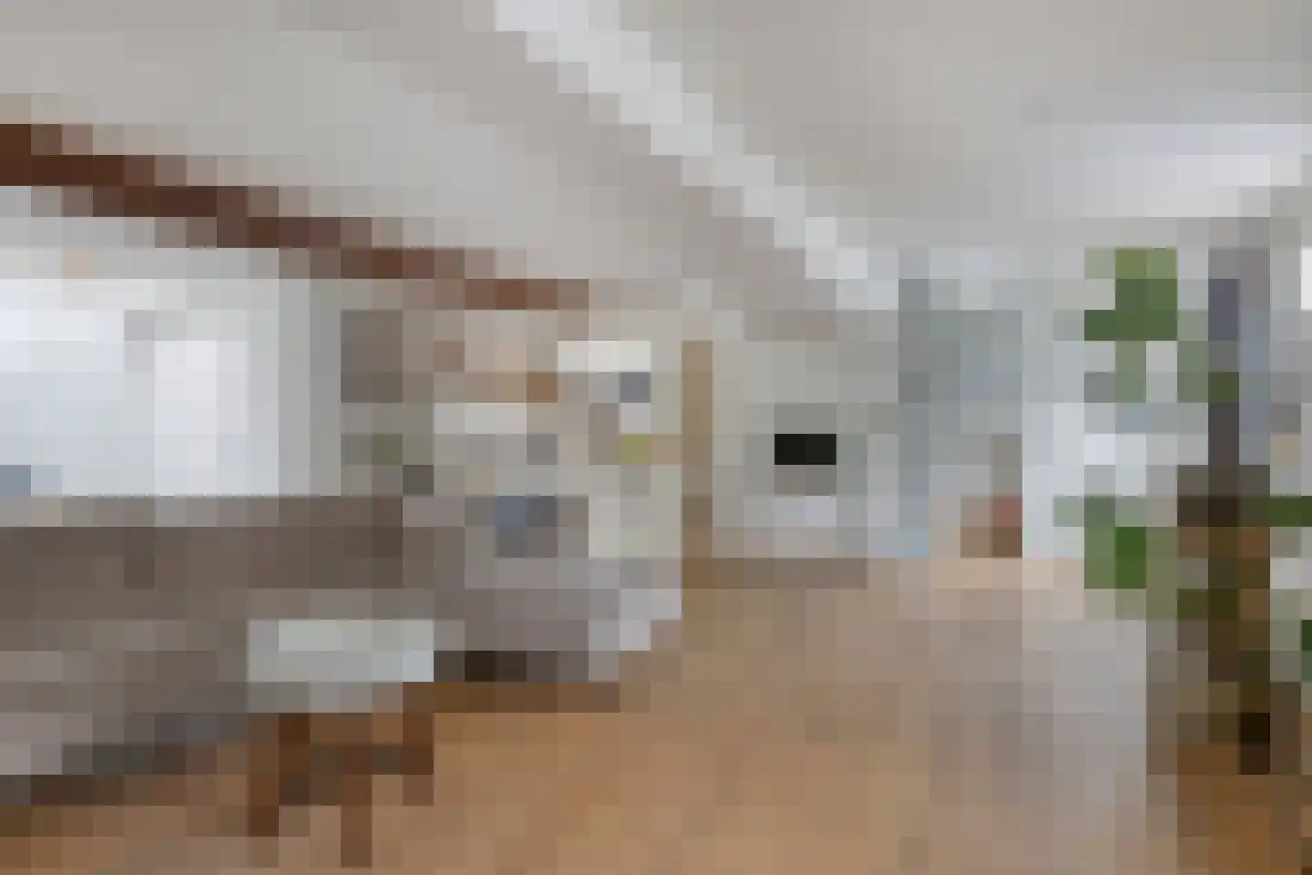 Oenselsestraat 28 Zaltbommel thumbnail 24