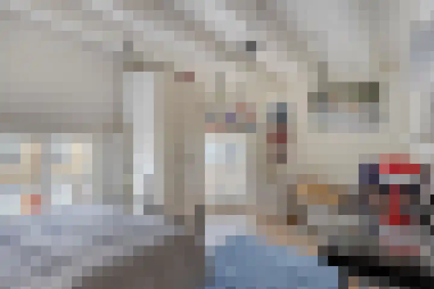 Oenselsestraat 28 Zaltbommel thumbnail 57