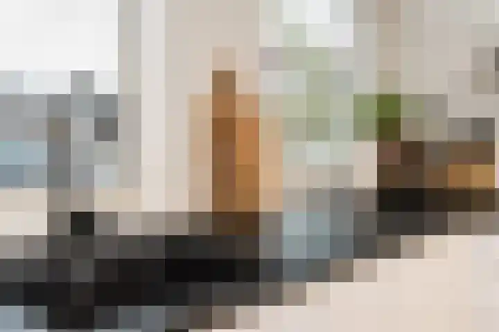 Oenselsestraat 43 Zaltbommel thumbnail 21