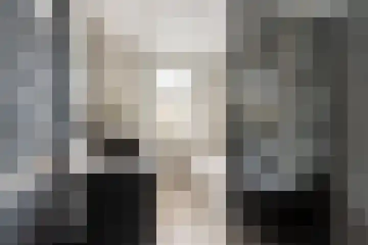 Oenselsestraat 43 Zaltbommel thumbnail 32