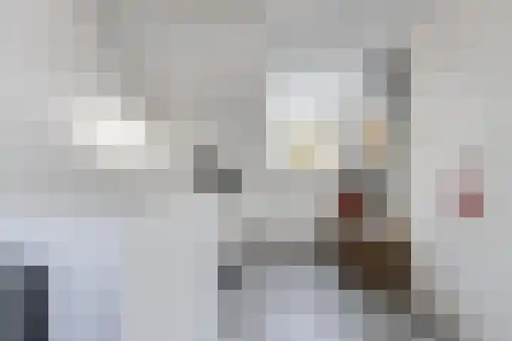 Oenselsestraat 43 Zaltbommel thumbnail 36