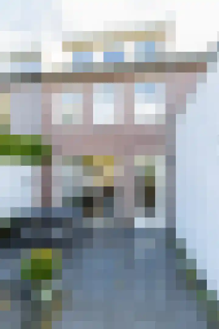 Oenselsestraat 43 Zaltbommel thumbnail 47
