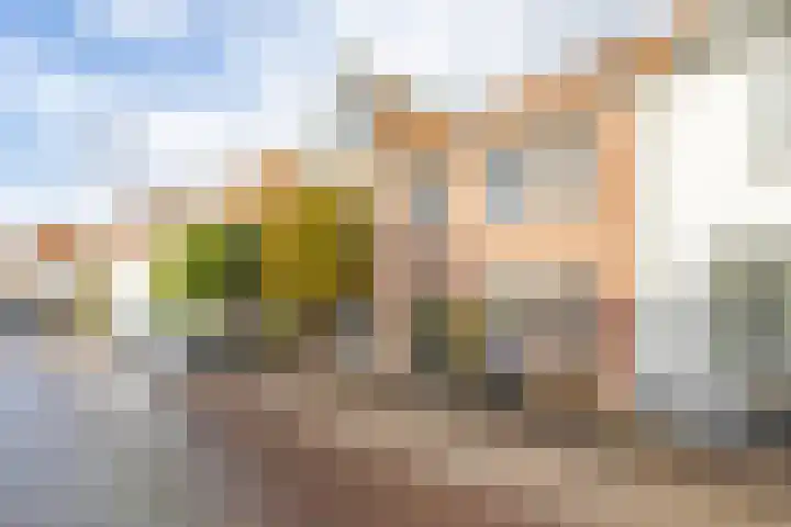 Oenselsestraat 43 Zaltbommel thumbnail 53