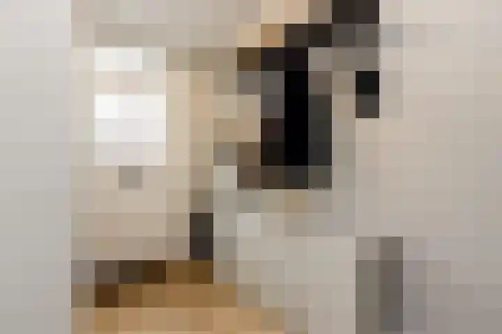 Oenselsestraat 43 Zaltbommel thumbnail 7
