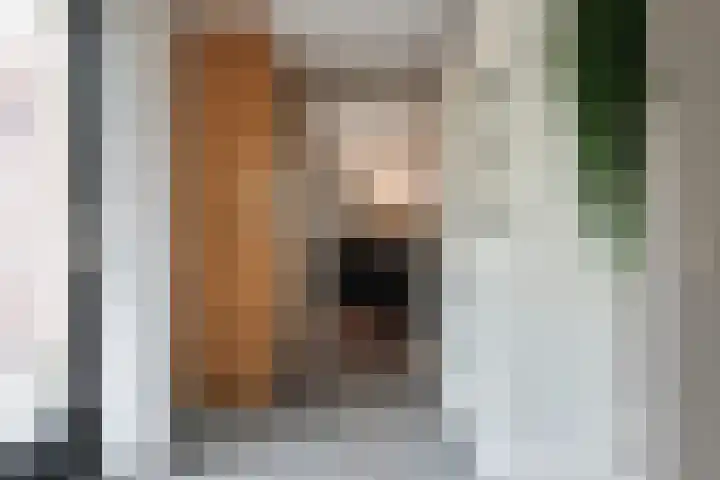 Oer de Barten 18 Warten thumbnail 27