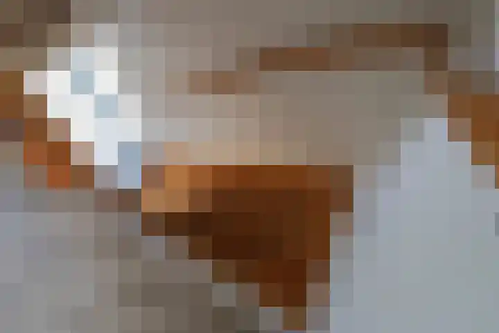 Oer de Barten 18 Warten thumbnail 33