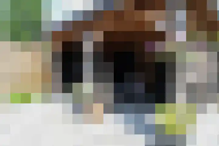 Oer de Barten 18 Warten thumbnail 58