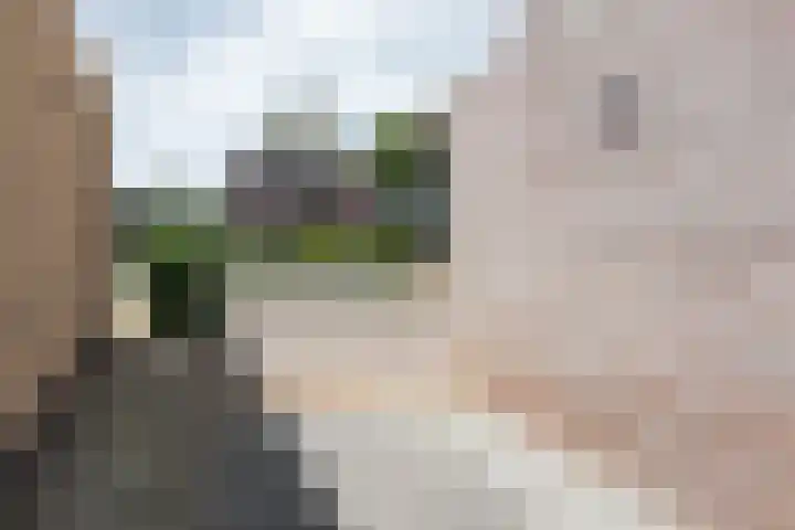 Oer de Barten 18 Warten thumbnail 67
