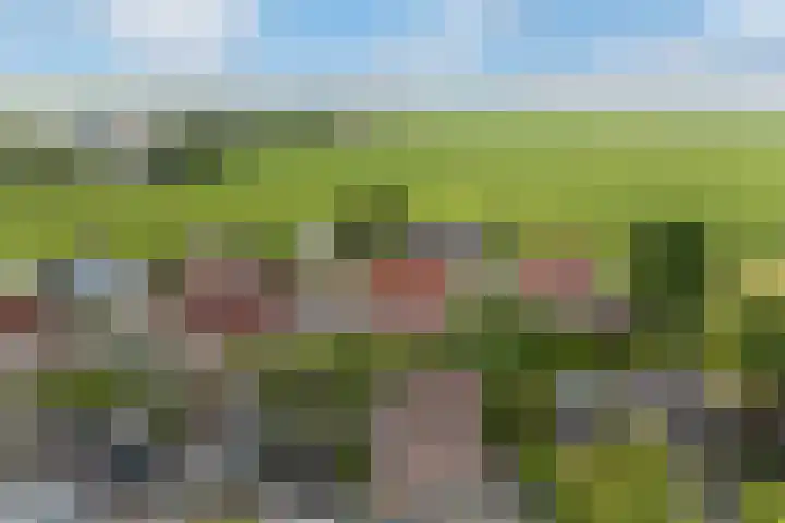 Oer de Barten 18 Warten thumbnail 74