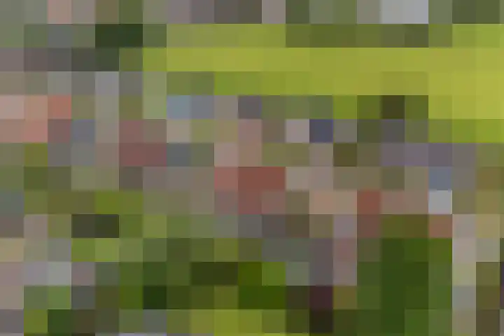 Oer de Barten 18 Warten thumbnail 75