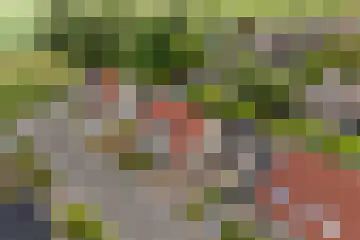 Oer de Barten 18 Warten thumbnail 78