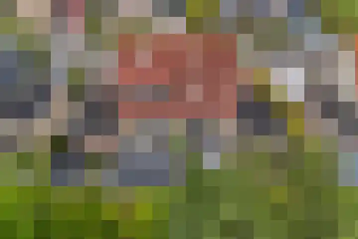 Oer de Barten 18 Warten thumbnail 81