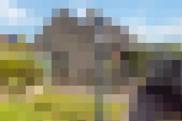 Oer de feart 1 Goutum thumbnail 17