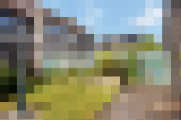 Oer de feart 1 Goutum thumbnail 18