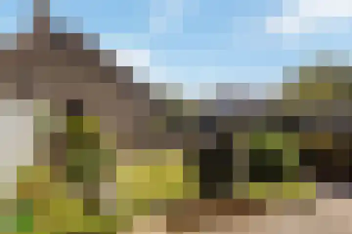 Oer de feart 1 Goutum foto 2