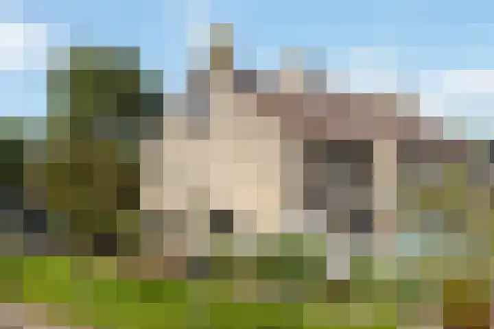 Oer de feart 1 Goutum thumbnail 38
