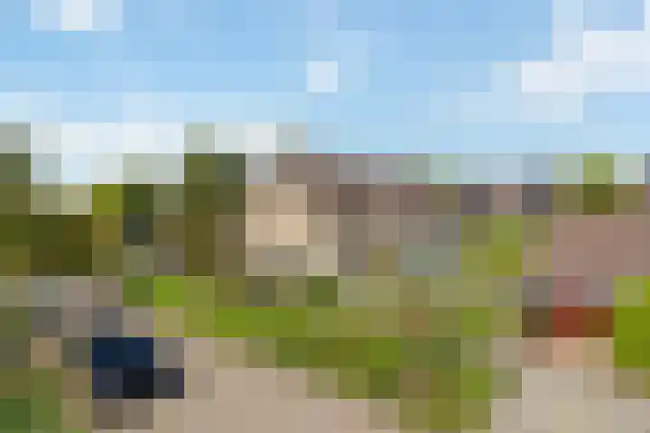 Oer de feart 1 Goutum thumbnail 39