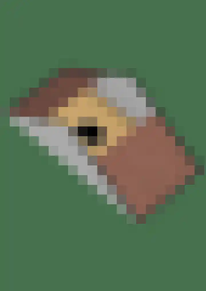 Oer de feart 1 Goutum thumbnail 44