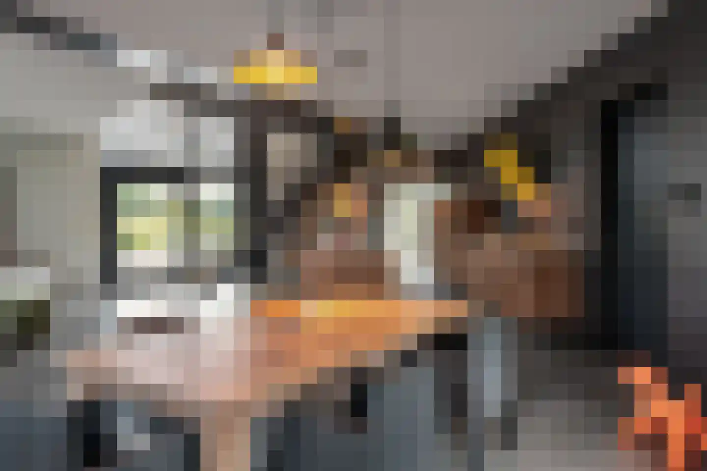 Oer de Feart 161 Joure thumbnail 12