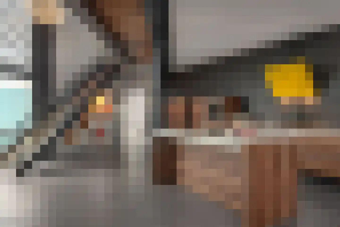 Oer de Feart 161 Joure thumbnail 14