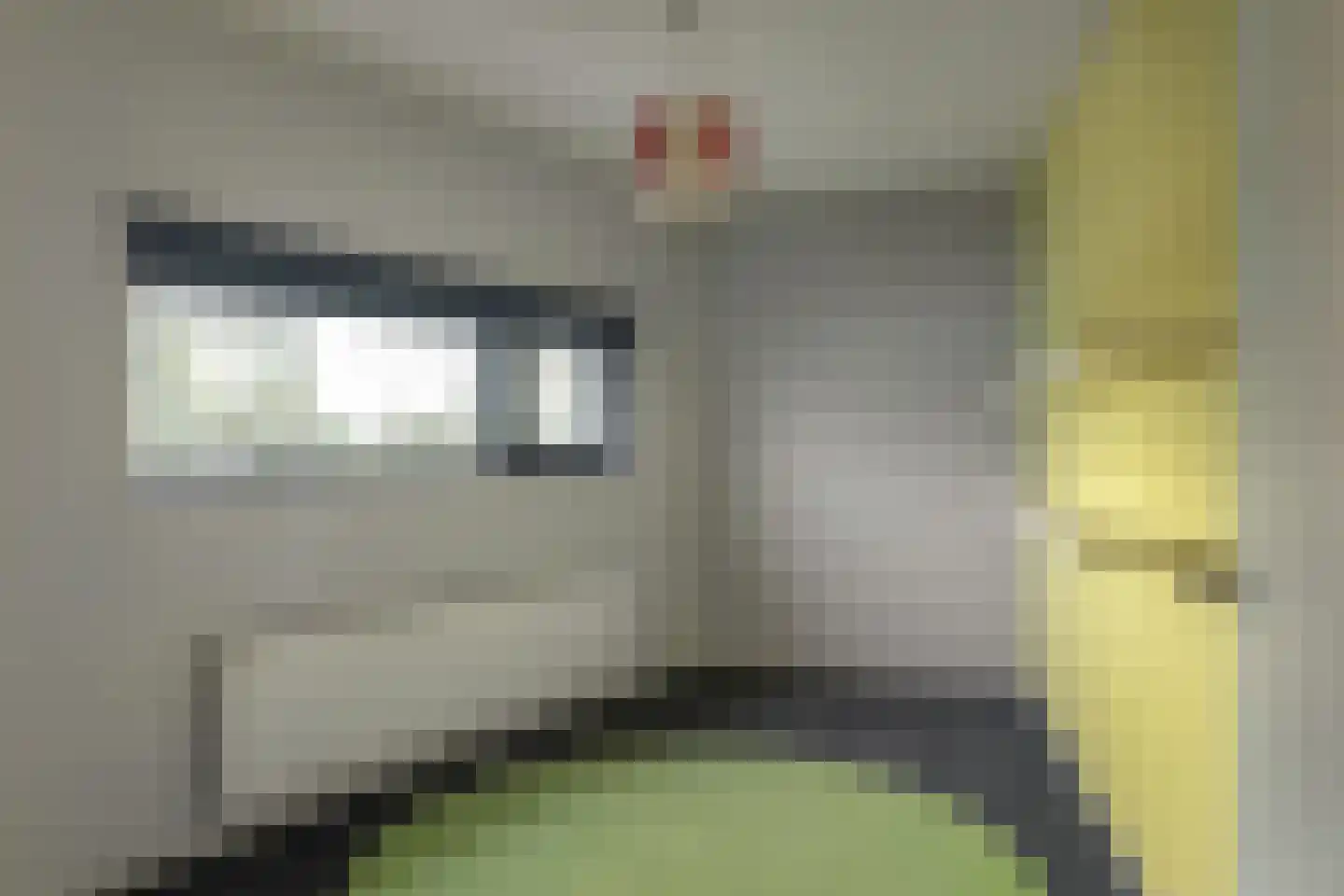 Oer de Feart 161 Joure thumbnail 18