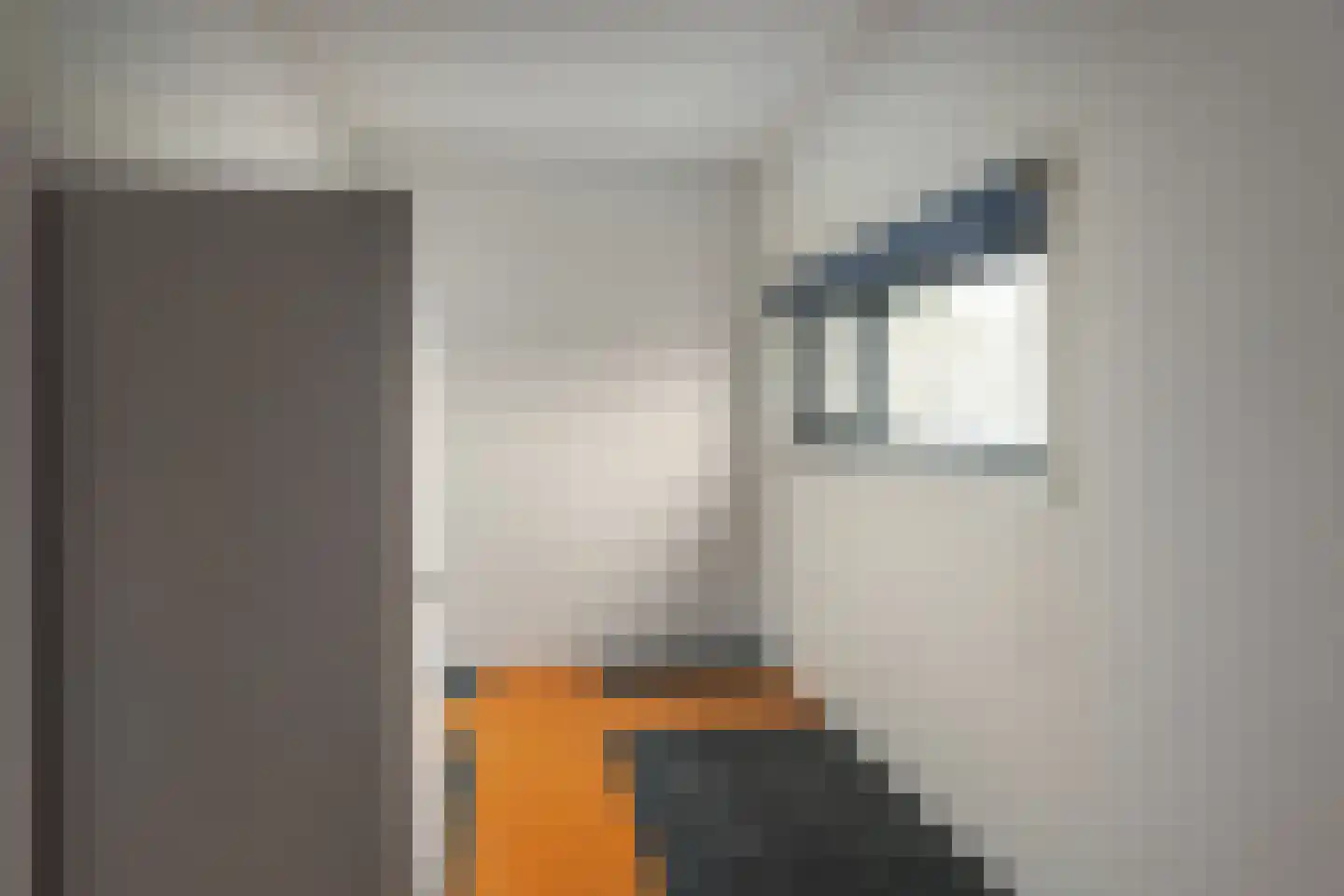 Oer de Feart 161 Joure thumbnail 21