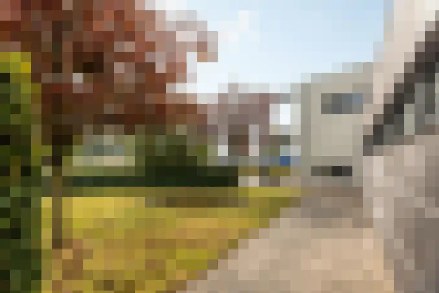 Oer de Feart 161 Joure thumbnail 27