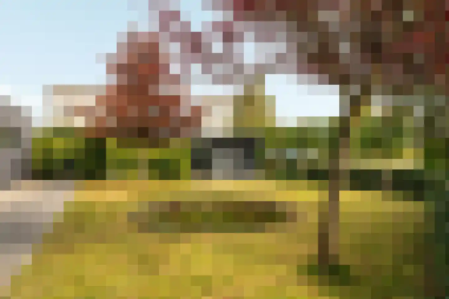 Oer de Feart 161 Joure thumbnail 28