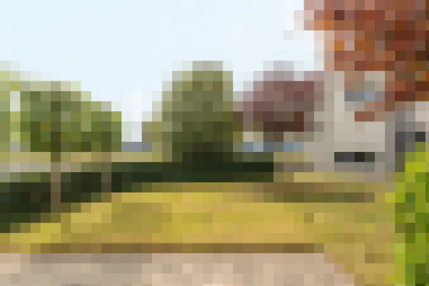 Oer de Feart 161 Joure thumbnail 30