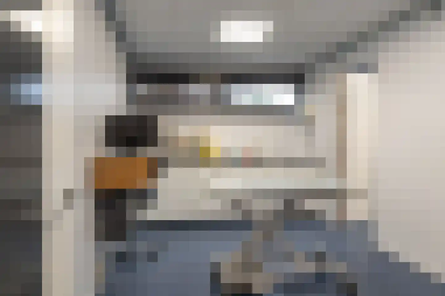 Oer de Feart 161 Joure thumbnail 38