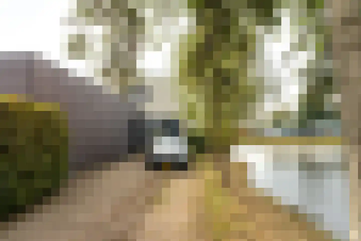 Oer de Feart 161 Joure thumbnail 6
