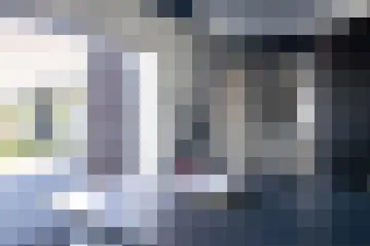 Oer de Feart 172 Joure thumbnail 13