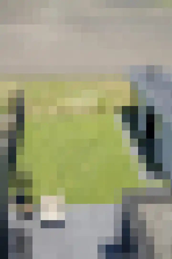 Oer de Feart 172 Joure thumbnail 20