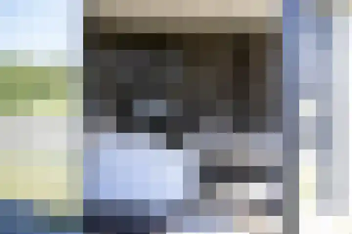 Oer de Feart 172 Joure thumbnail 28