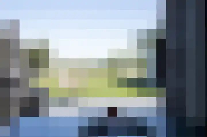 Oer de Feart 172 Joure thumbnail 5