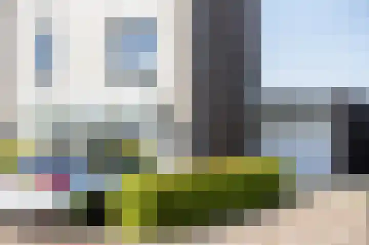 Oer de Feart 172 Joure thumbnail 6