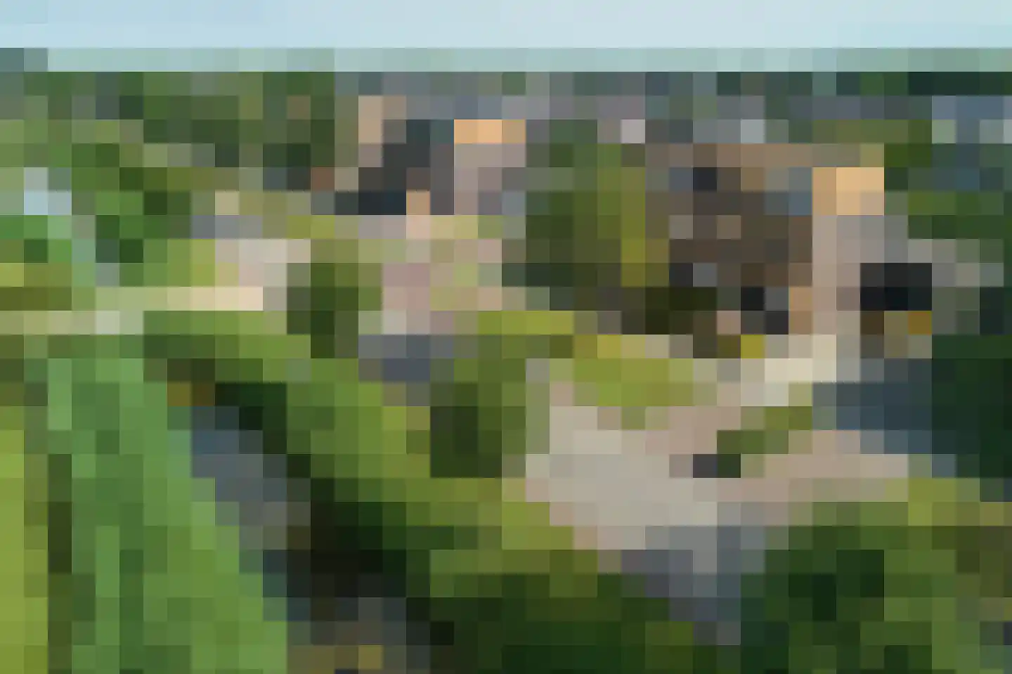 Oer de Feart 18 Joure thumbnail 31