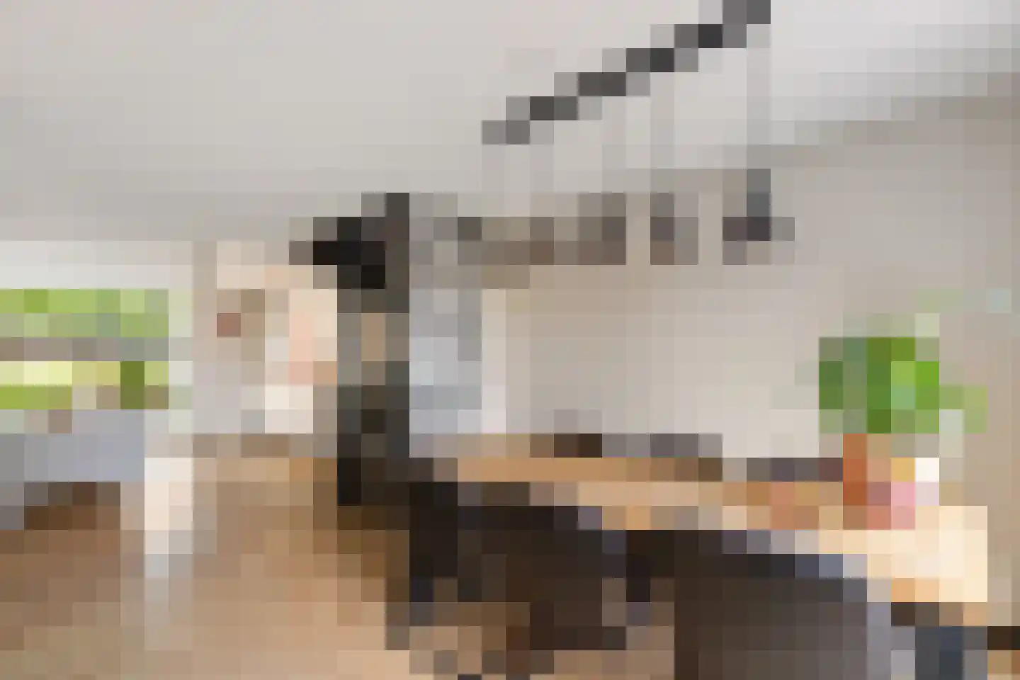 Oer de Feart 184 Joure thumbnail 13