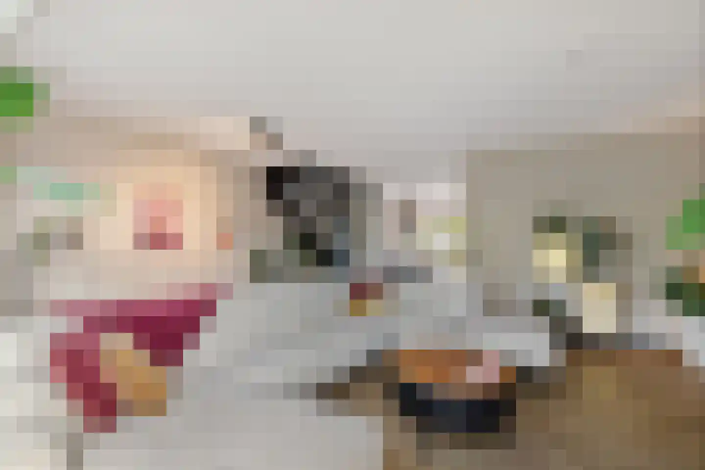 Oer de Feart 184 Joure thumbnail 16