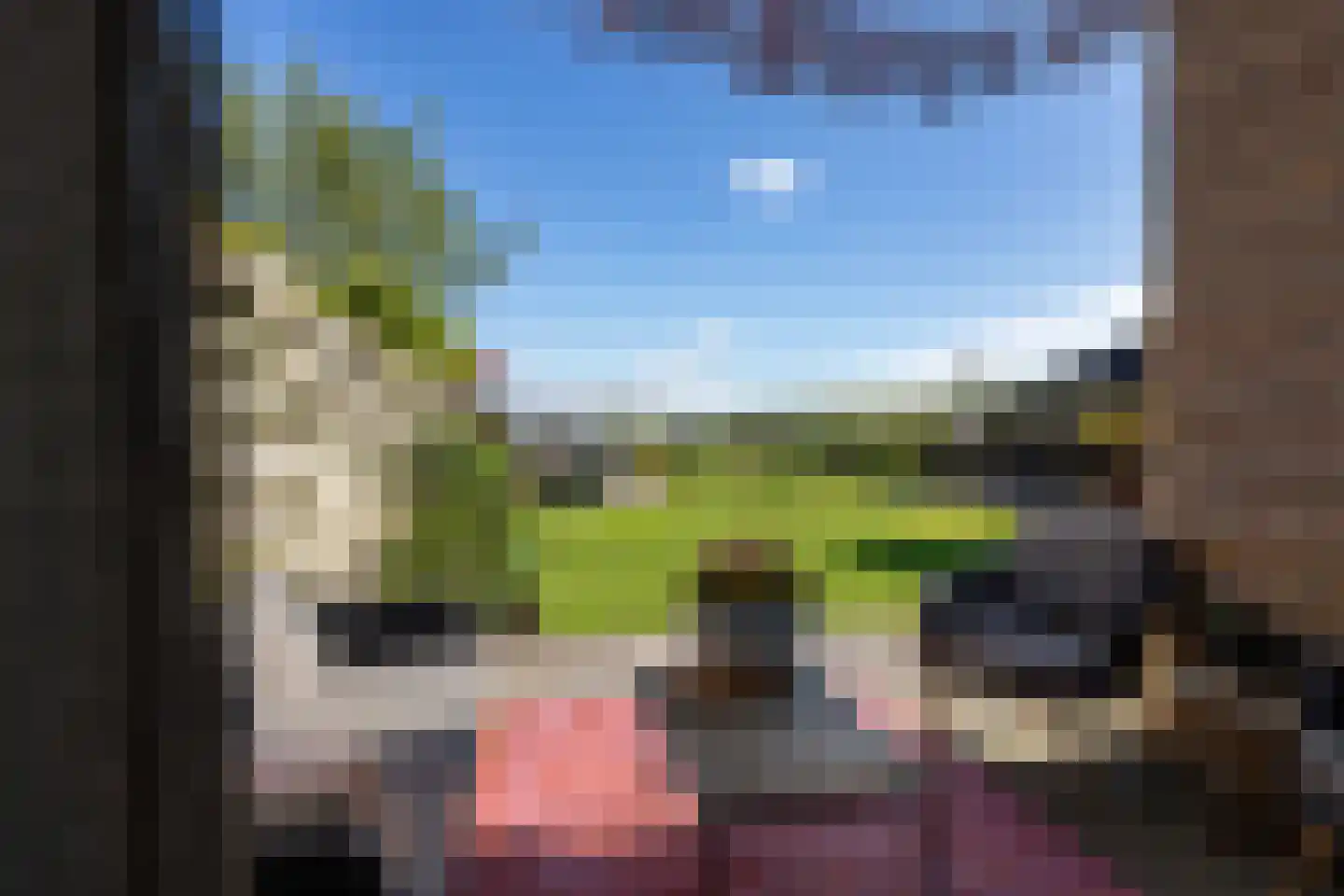 Oer de Feart 184 Joure thumbnail 28