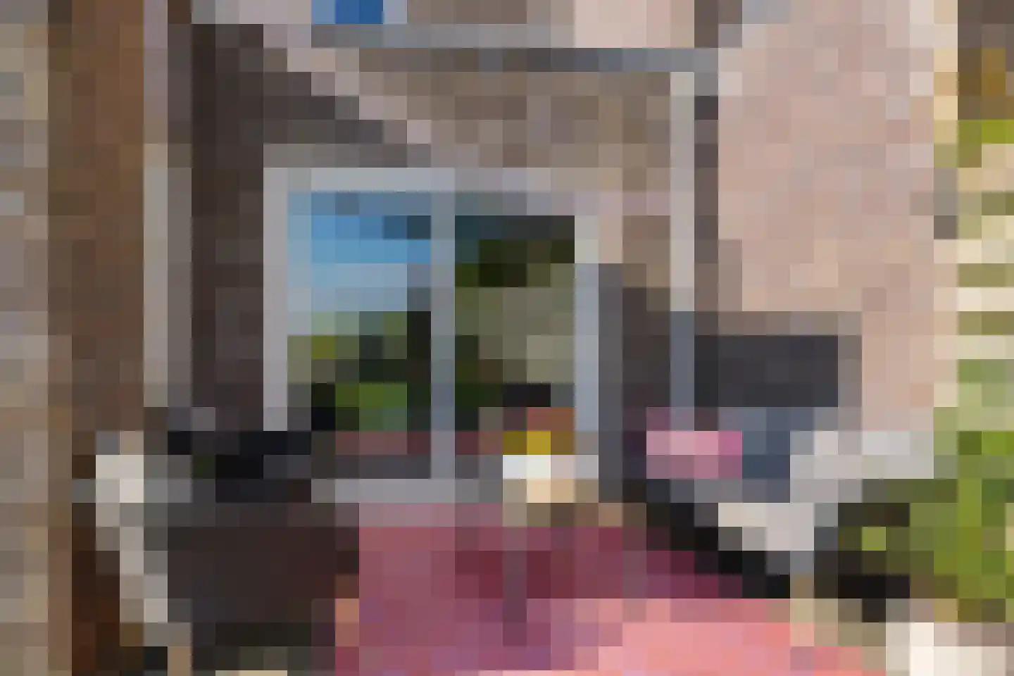Oer de Feart 184 Joure thumbnail 29