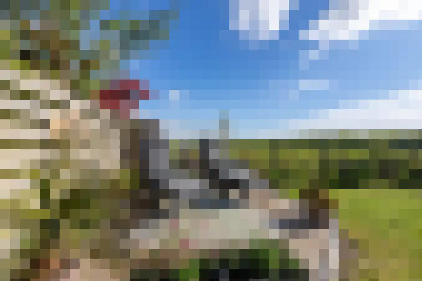 Oer de Feart 184 Joure thumbnail 31